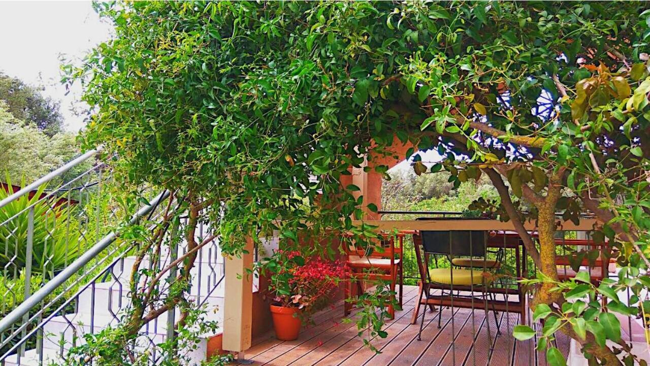 Kefalonia Apartments - Marias Studios - 2 Bedroom Apartment In Orchard, Spartia Esterno foto